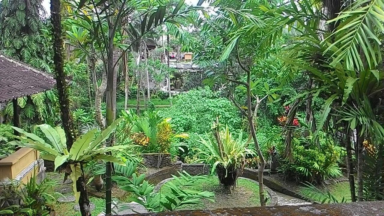 Sari Wangi Cottage Ubud Exteriér fotografie